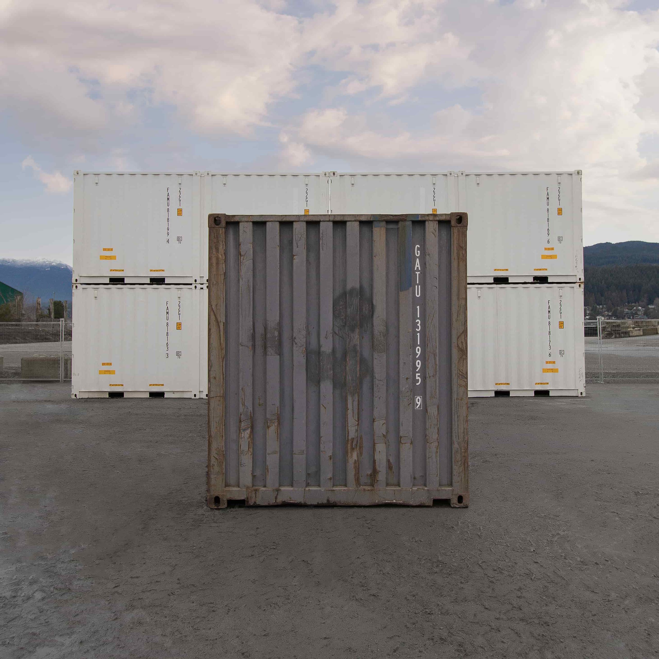 20′ Used Shipping Container - Royal Ace Storage