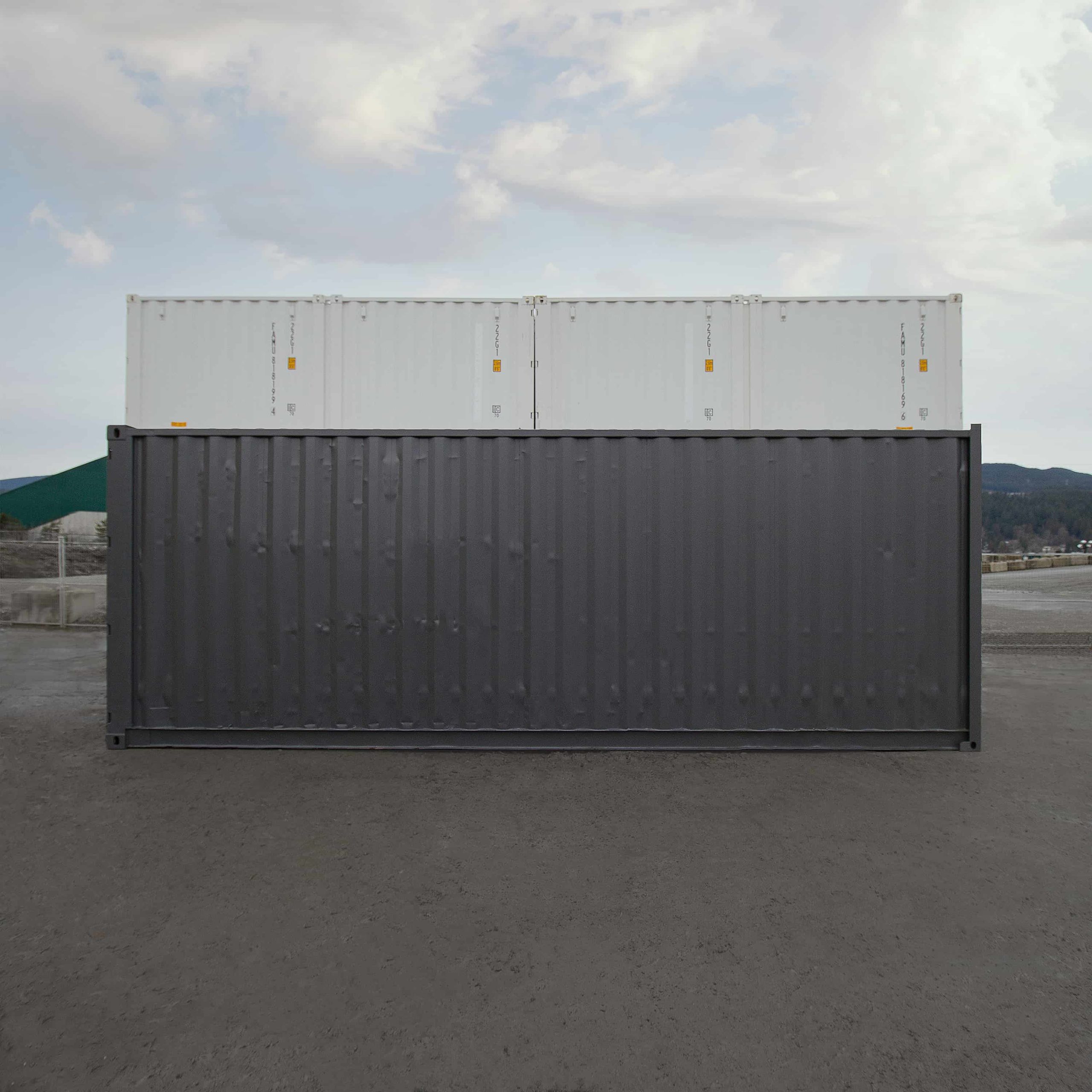 25′ “Cut Down” Used Shipping Container - Royal Ace Storage