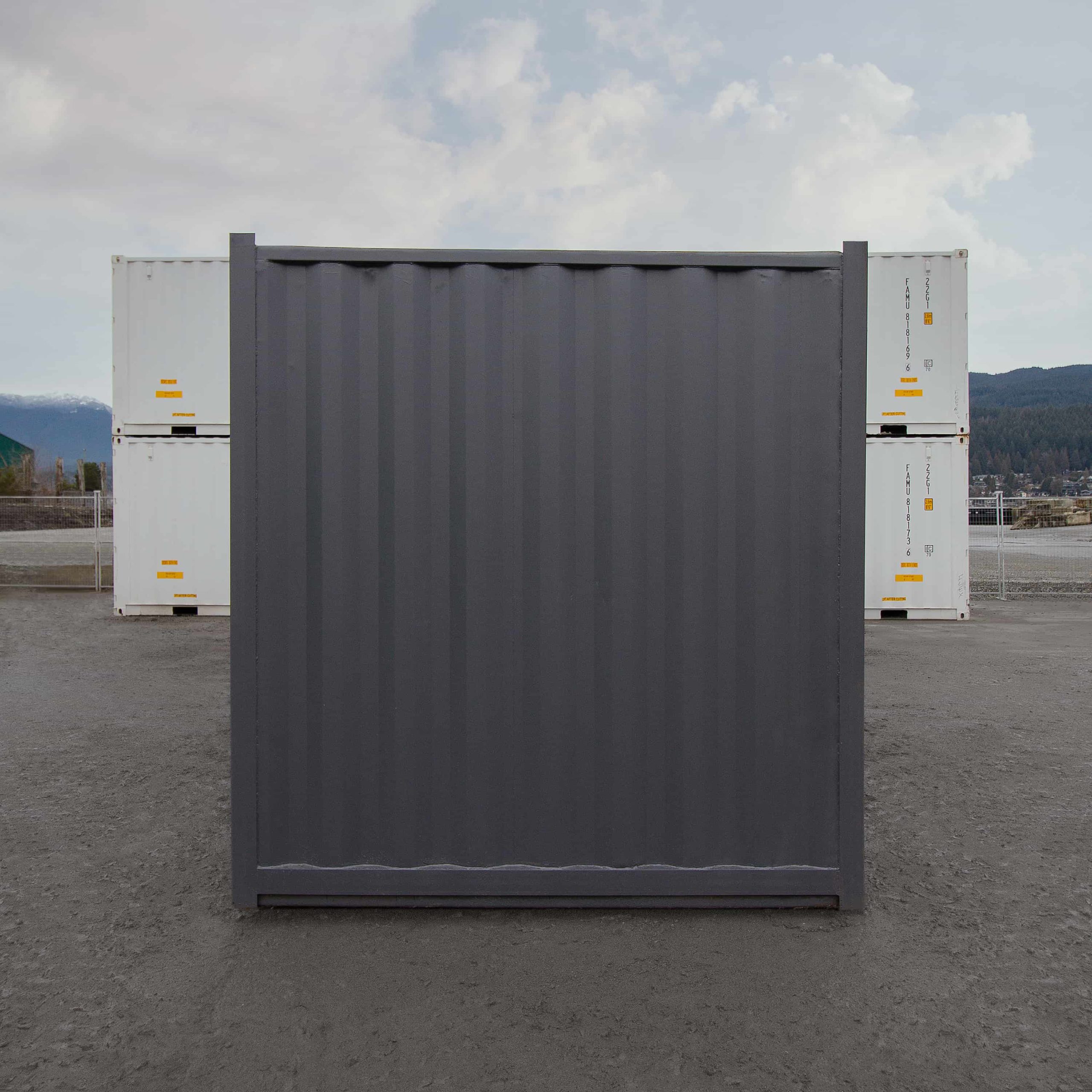 25′ “Cut Down” Used Shipping Container - Royal Ace Storage